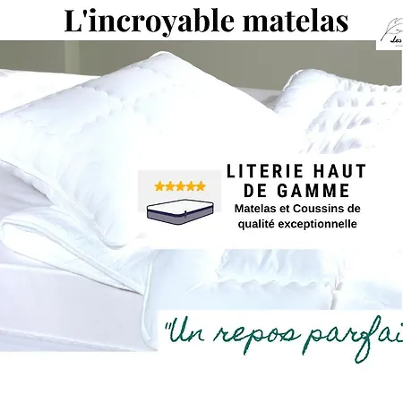 Le 9 De Coeur - 2 - 6 Couchages Apartment *